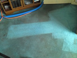 Office carpet cleaning service
